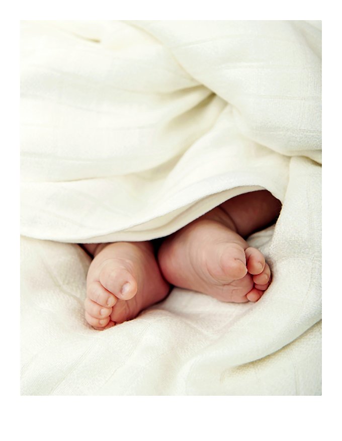 bambusowa_wyprawka_2-002-2014-11-02 _ 21_45_08-80