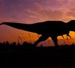 Listopadowy weekend pełen dinozaurów